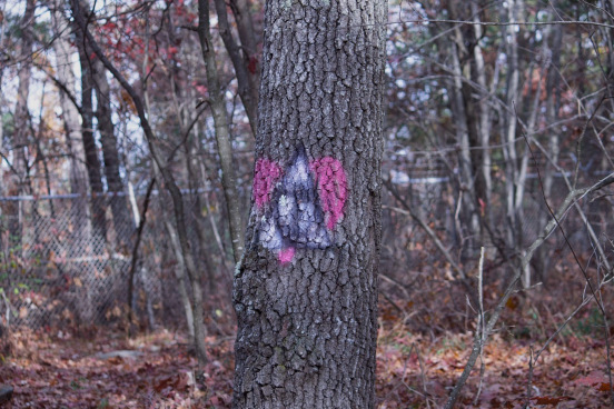 graffiti tree